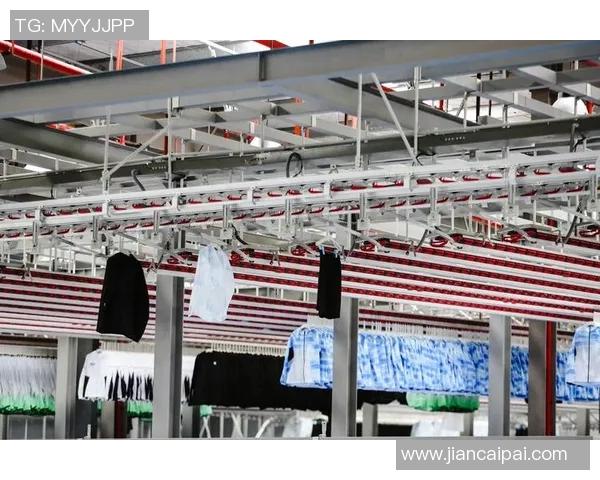 打造创新鞋业品牌：聚焦智能制造与可持续发展的未来趋势